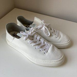 POPPY LACE-UP SNEAKER SAM EDELMAN